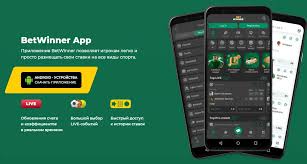 Complete BetWinner App Download Guide Step-by-Step Instructions